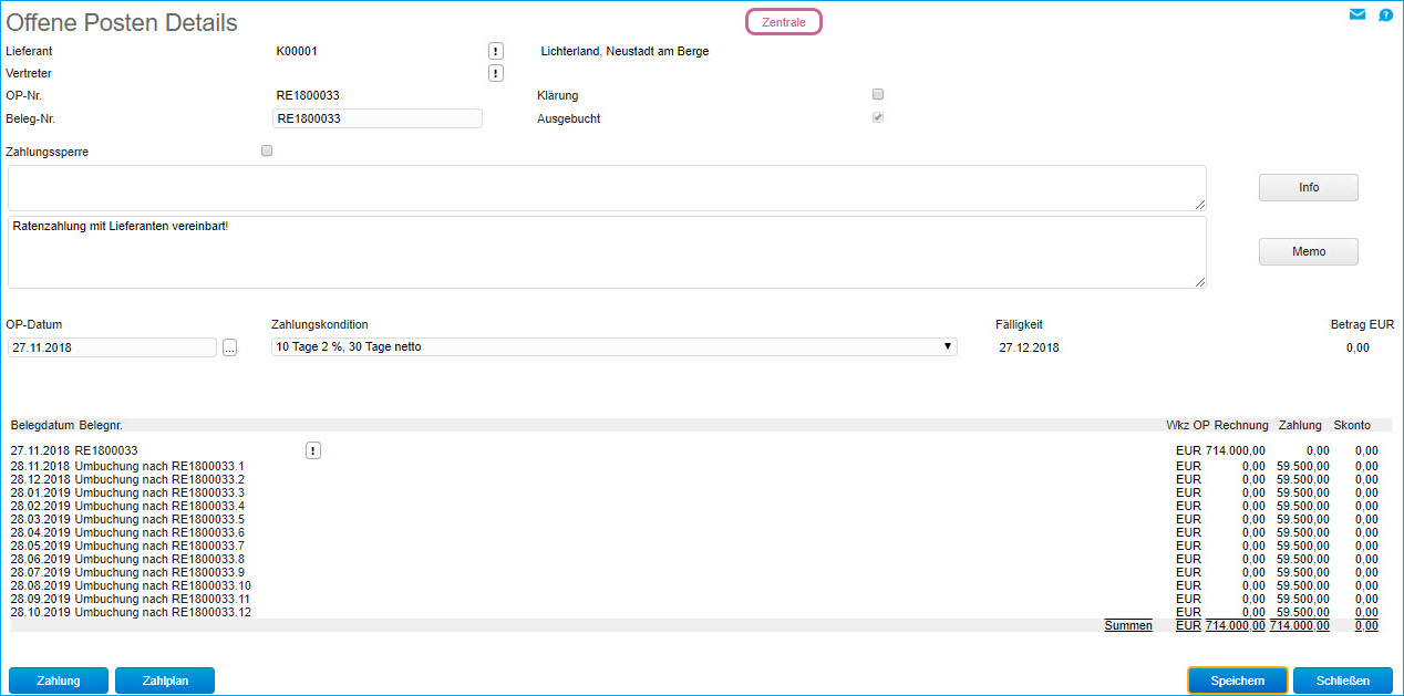 Offene Posten Details 1
