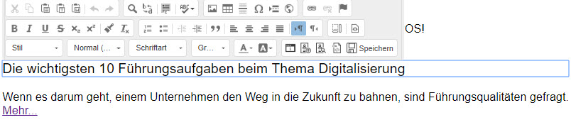 Redaktionsansicht 5
